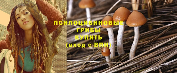 твердый Алзамай