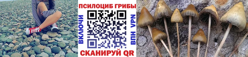 Галлюциногенные грибы GOLDEN TEACHER  kraken как войти  Завитинск 